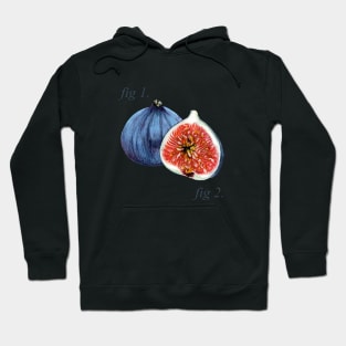 Annotated Figs diagram Hoodie